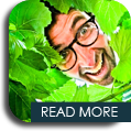 Best of the Best Margaret River Wine Tour